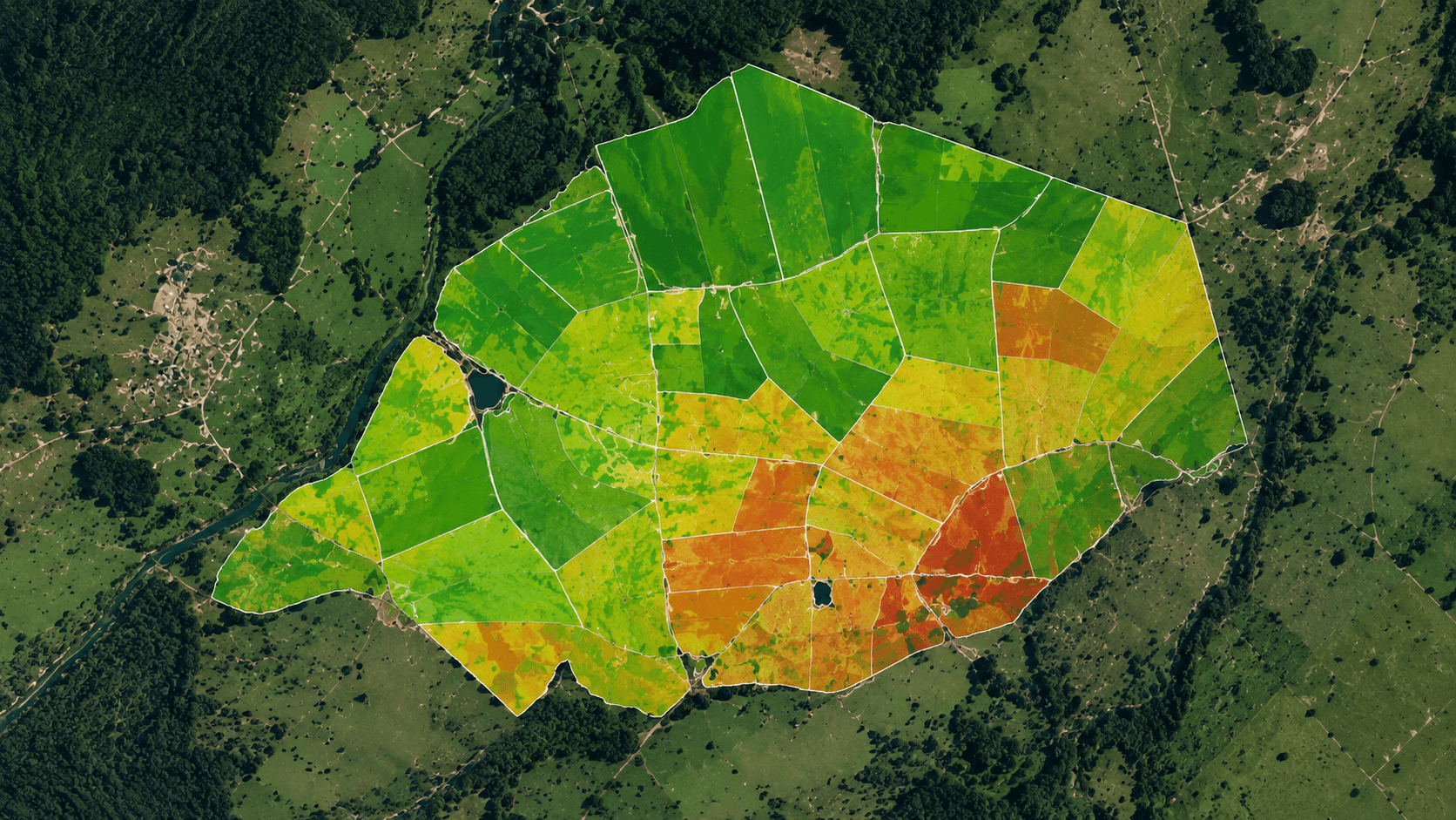Mapa de piquetes da plataforma PastoAuto